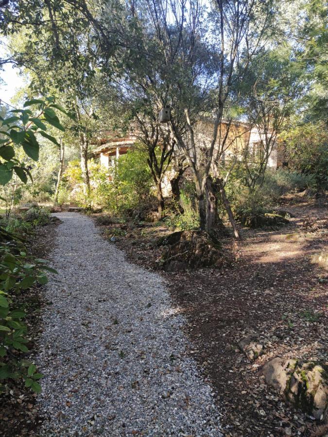 フエンテエリドス Casa La Indianaヴィラ エクステリア 写真
